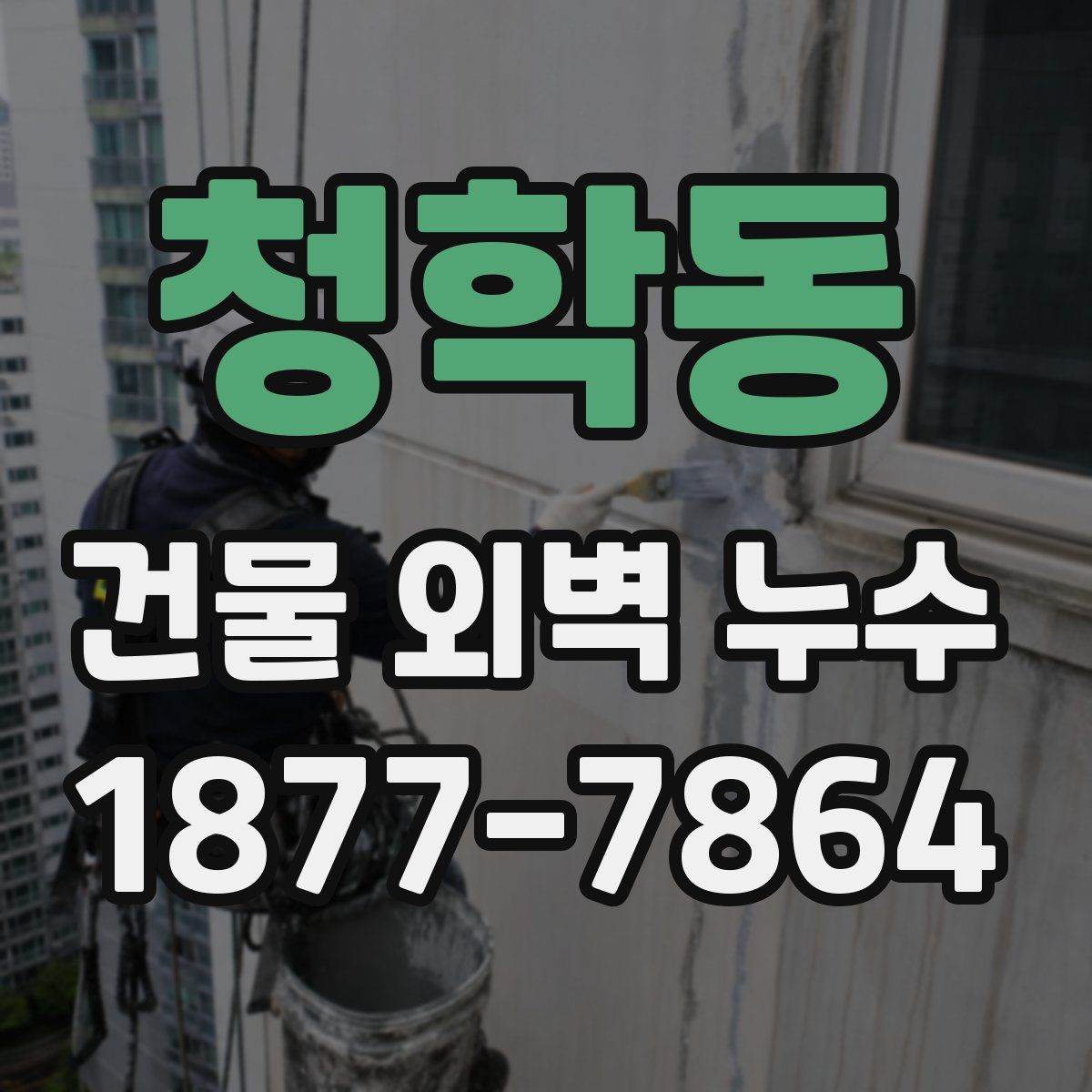 청학동 건물 외벽 누수