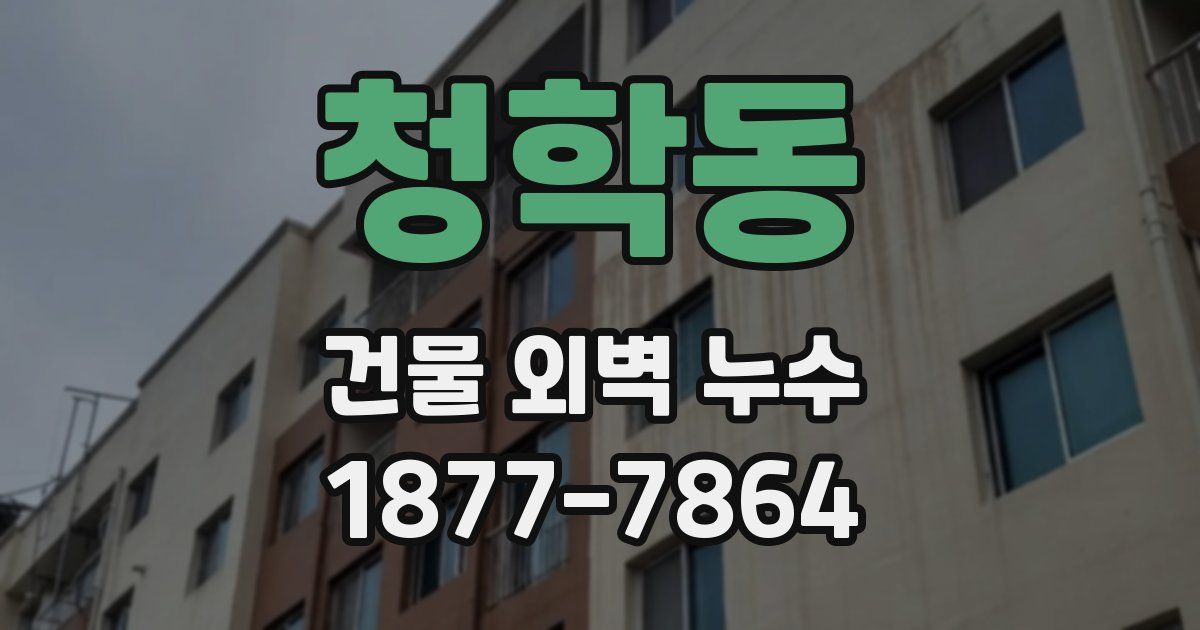 청학동 건물 외벽 누수