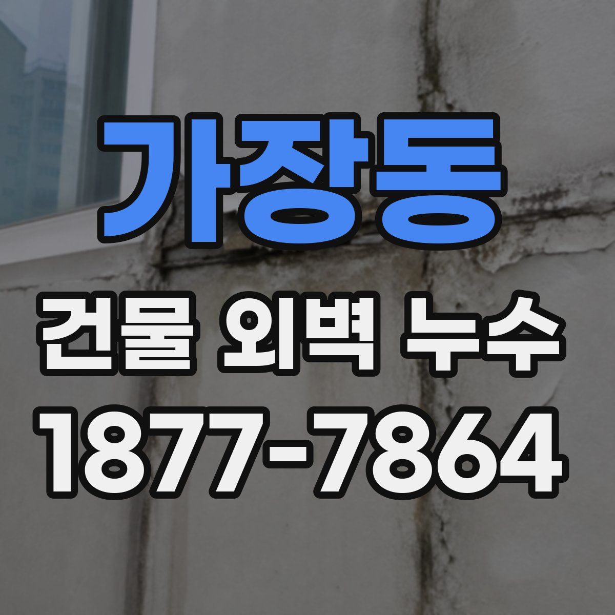 가장동 건물 외벽 누수