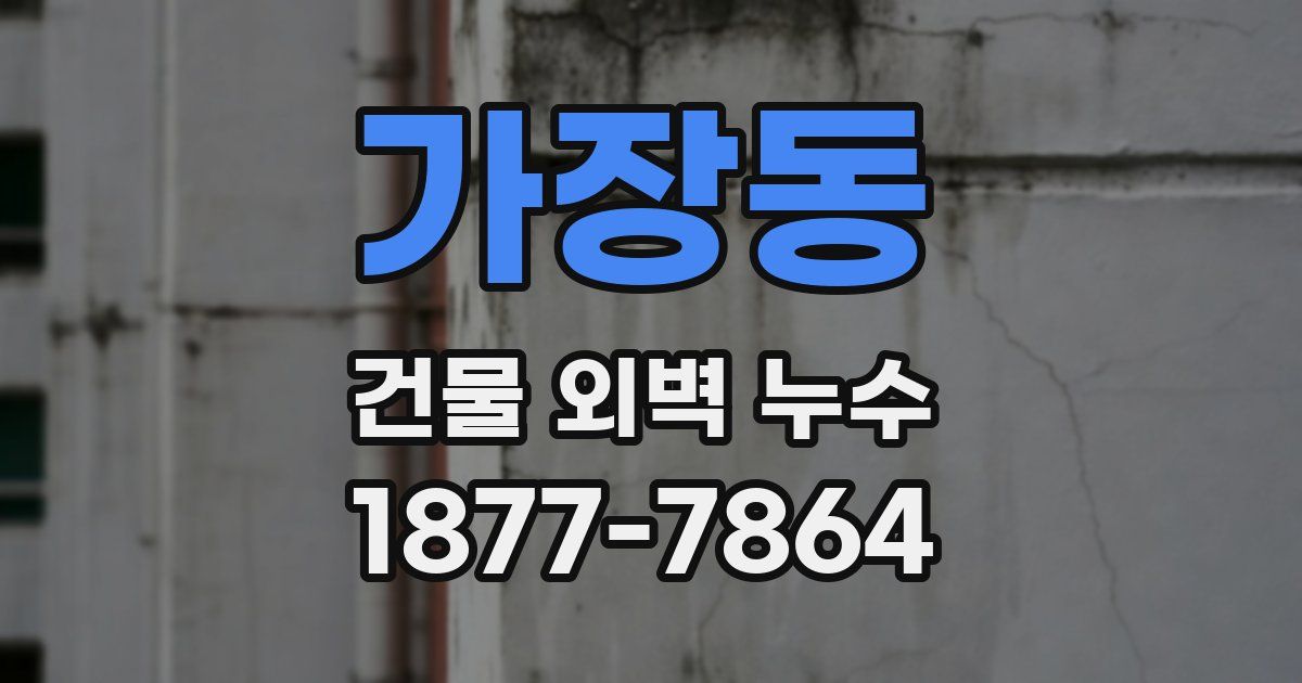 가장동 건물 외벽 누수