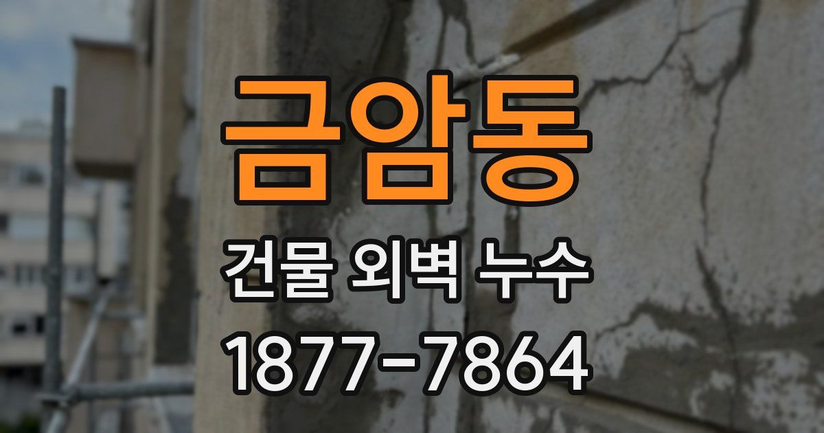 금암동 건물 외벽 누수