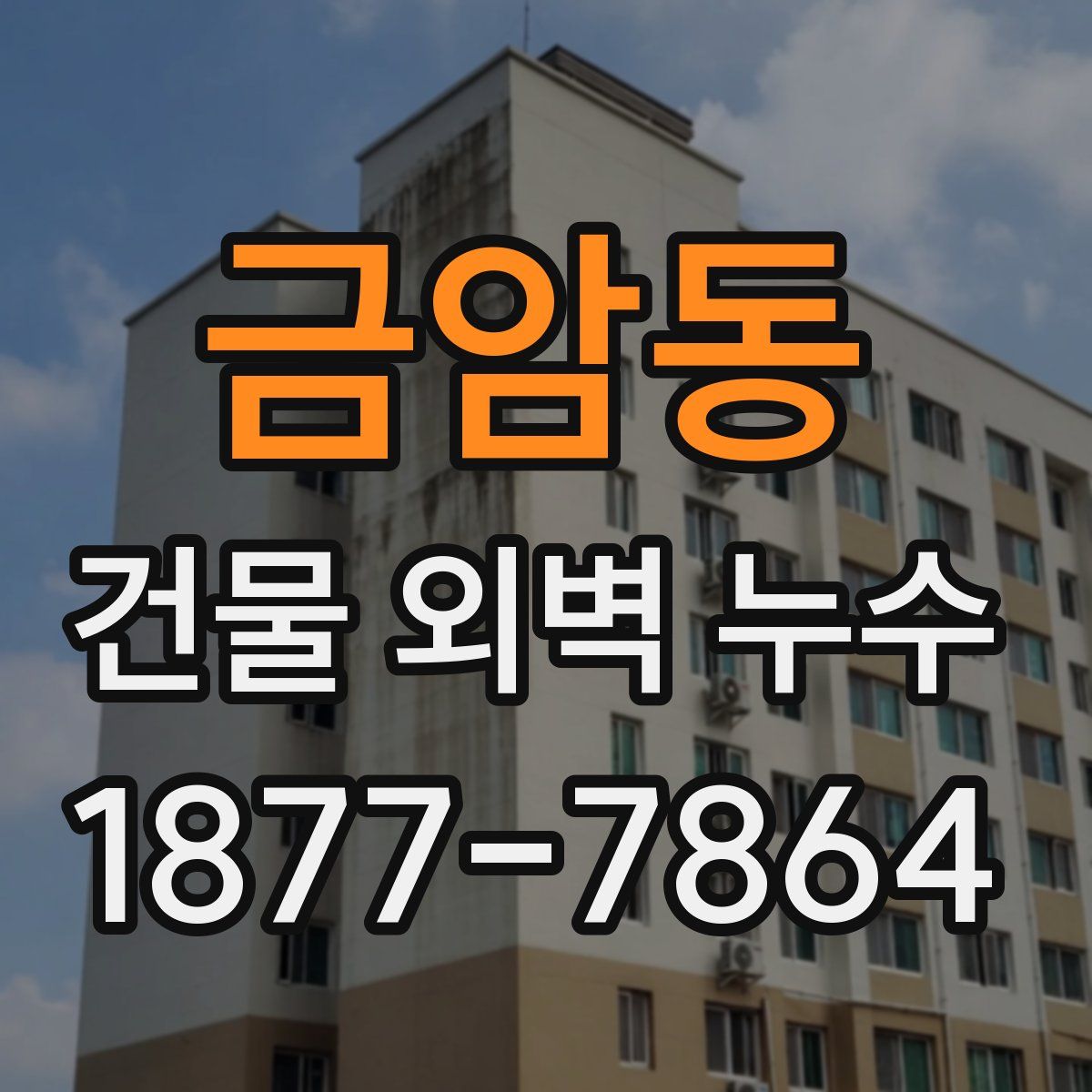 금암동 건물 외벽 누수