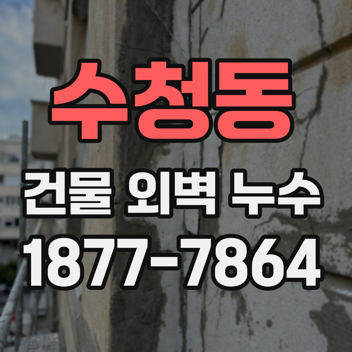 수청동 건물 외벽 누수