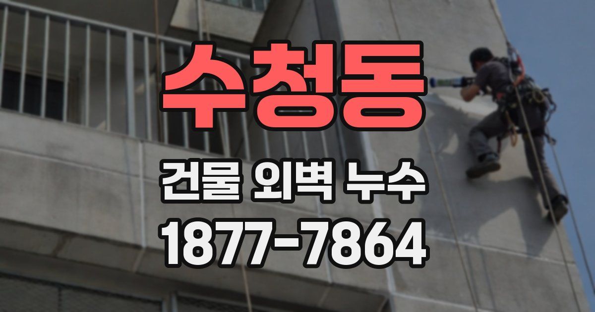 수청동 건물 외벽 누수