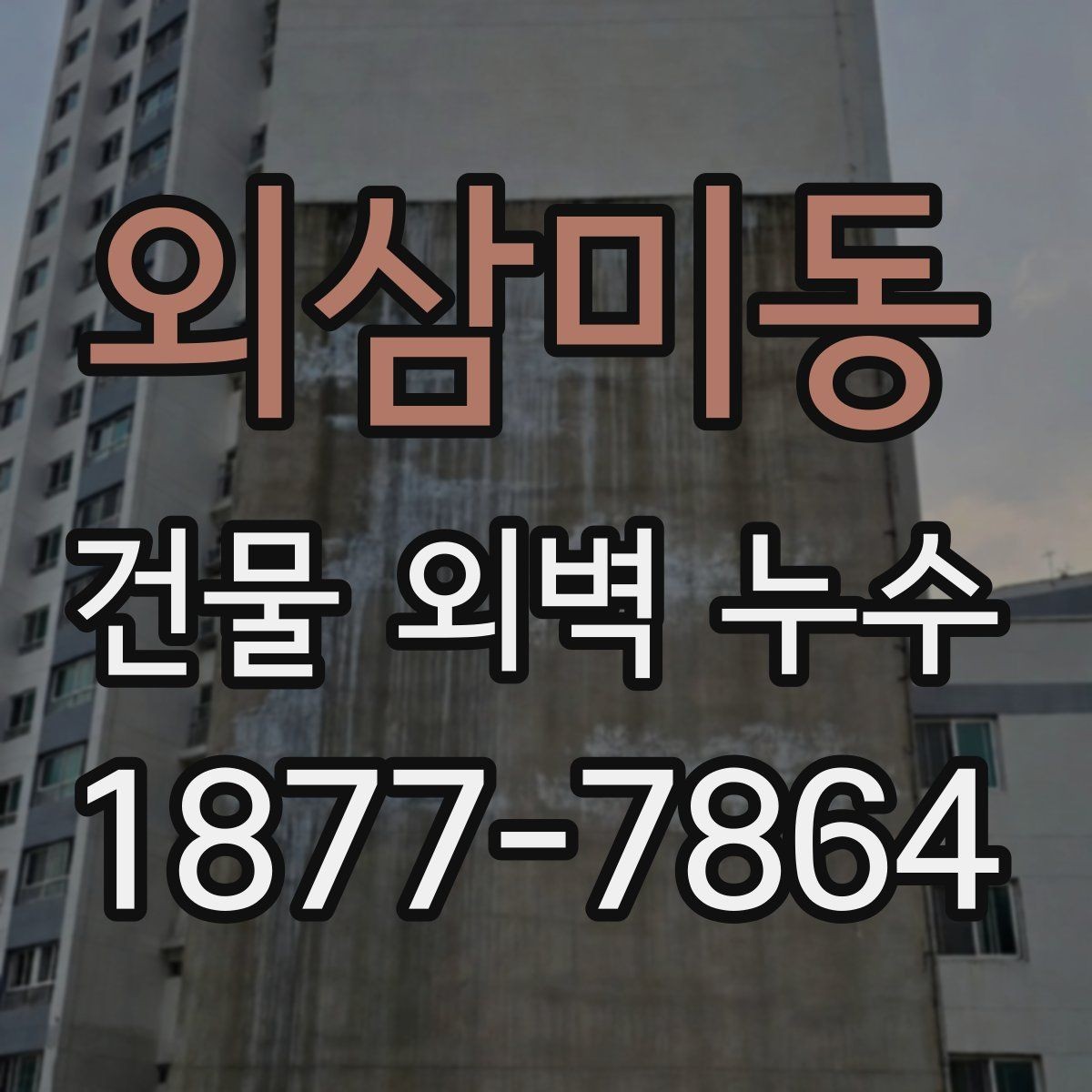 외삼미동 건물 외벽 누수 진단 시 확인하는 핵심 부위