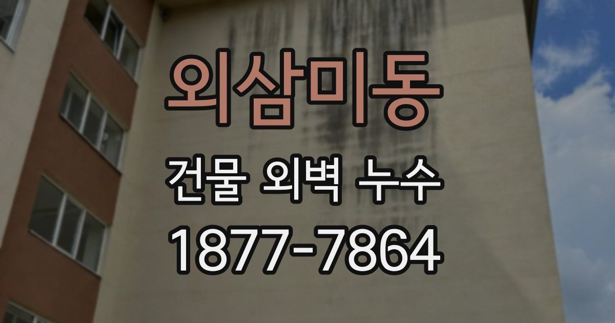 외삼미동 건물 외벽 누수