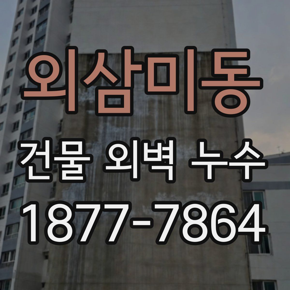 외삼미동 건물 외벽 누수