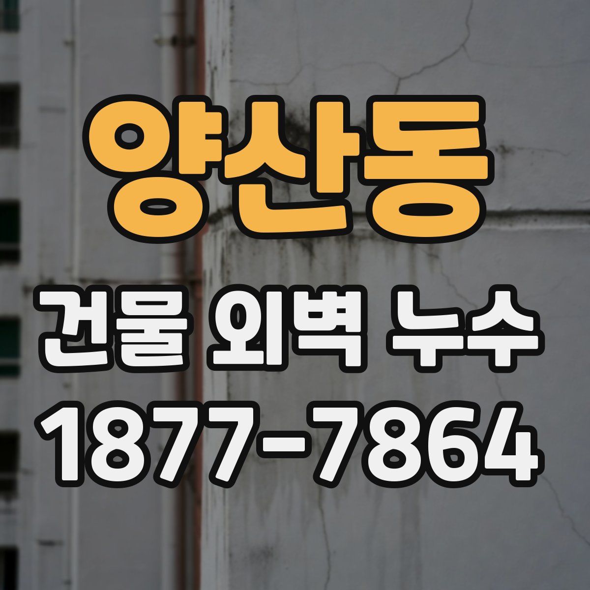 양산동 건물 외벽 누수