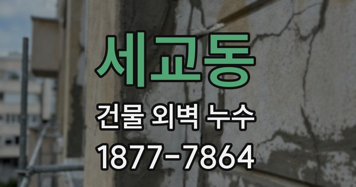 세교동 건물 외벽 누수