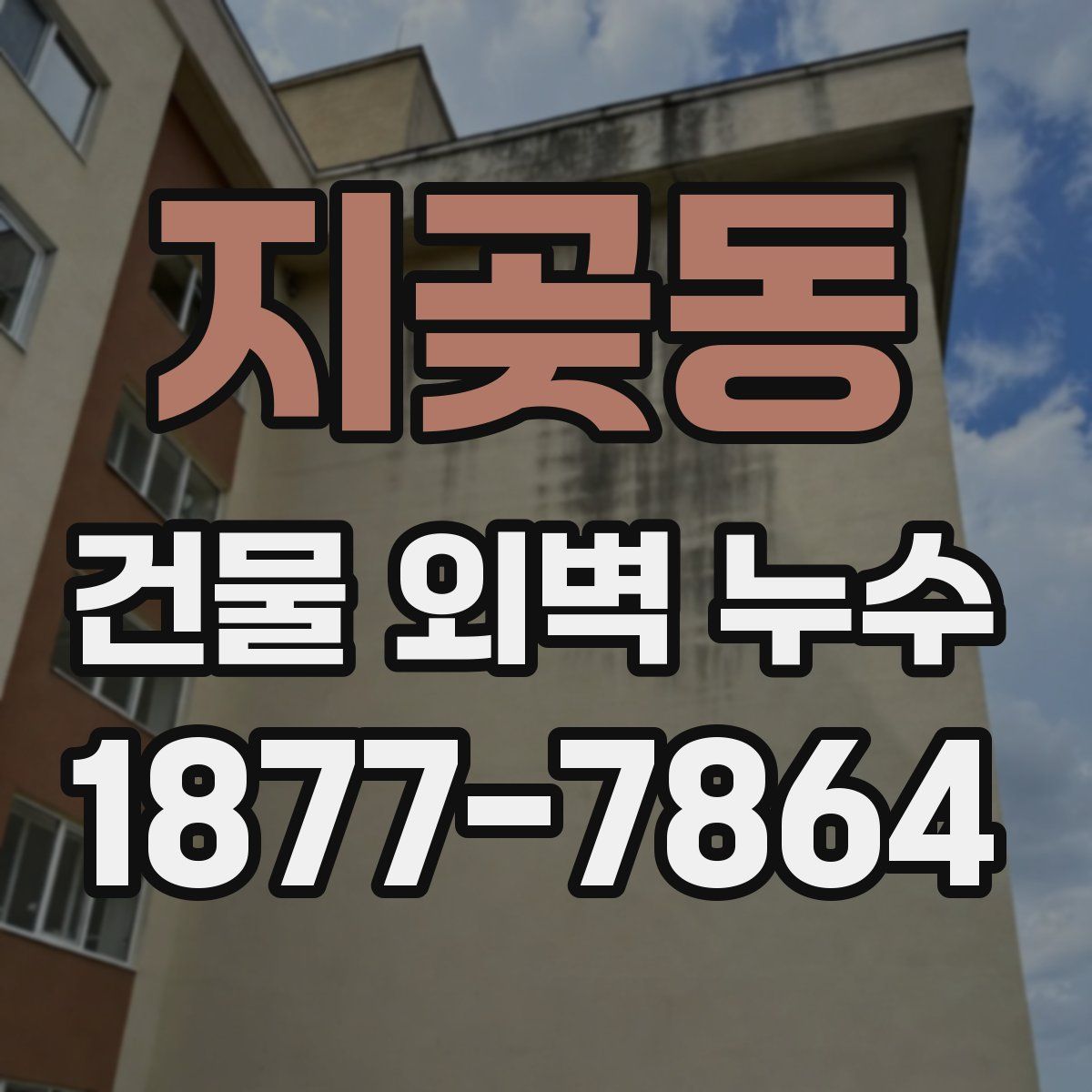 지곶동 건물 외벽 누수