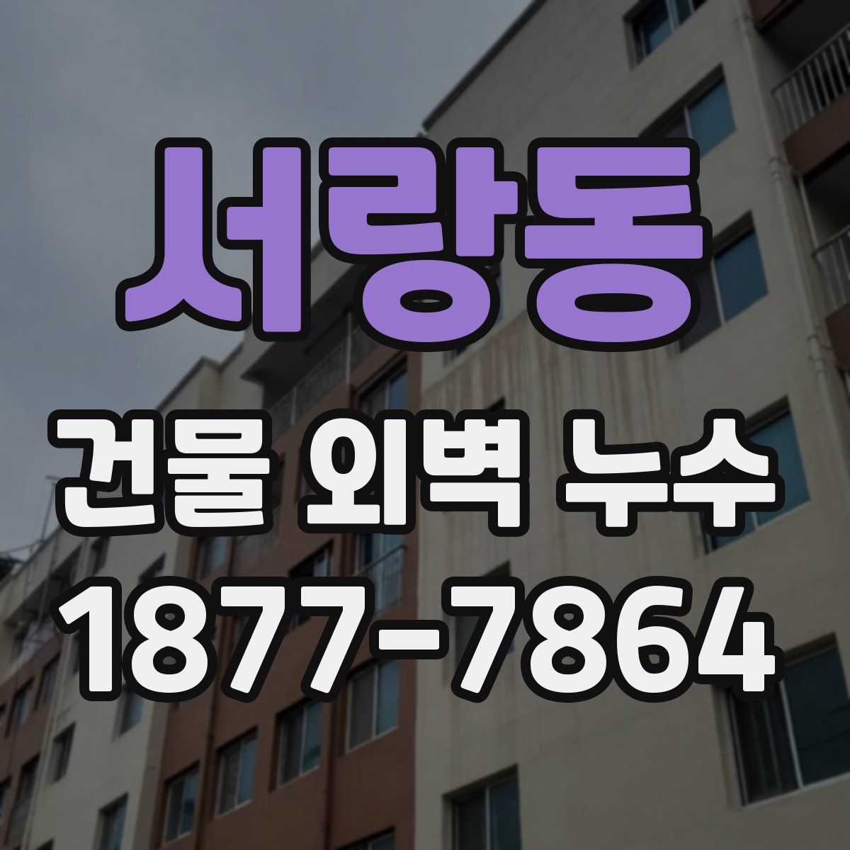 서랑동 건물 외벽 누수