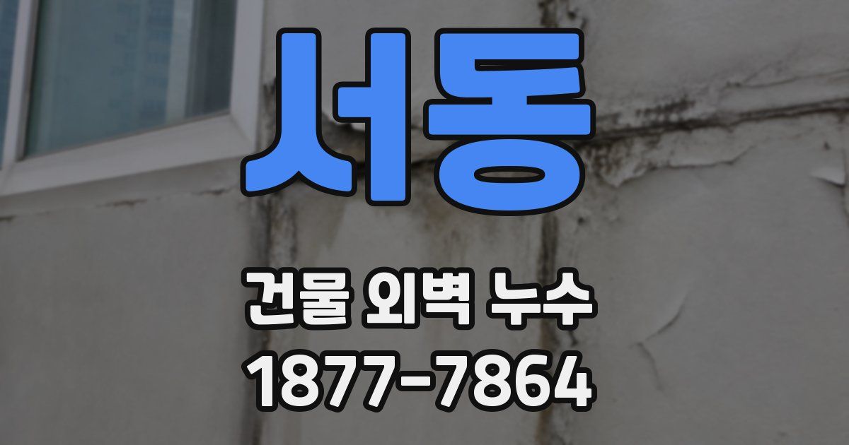 서동 건물 외벽 누수