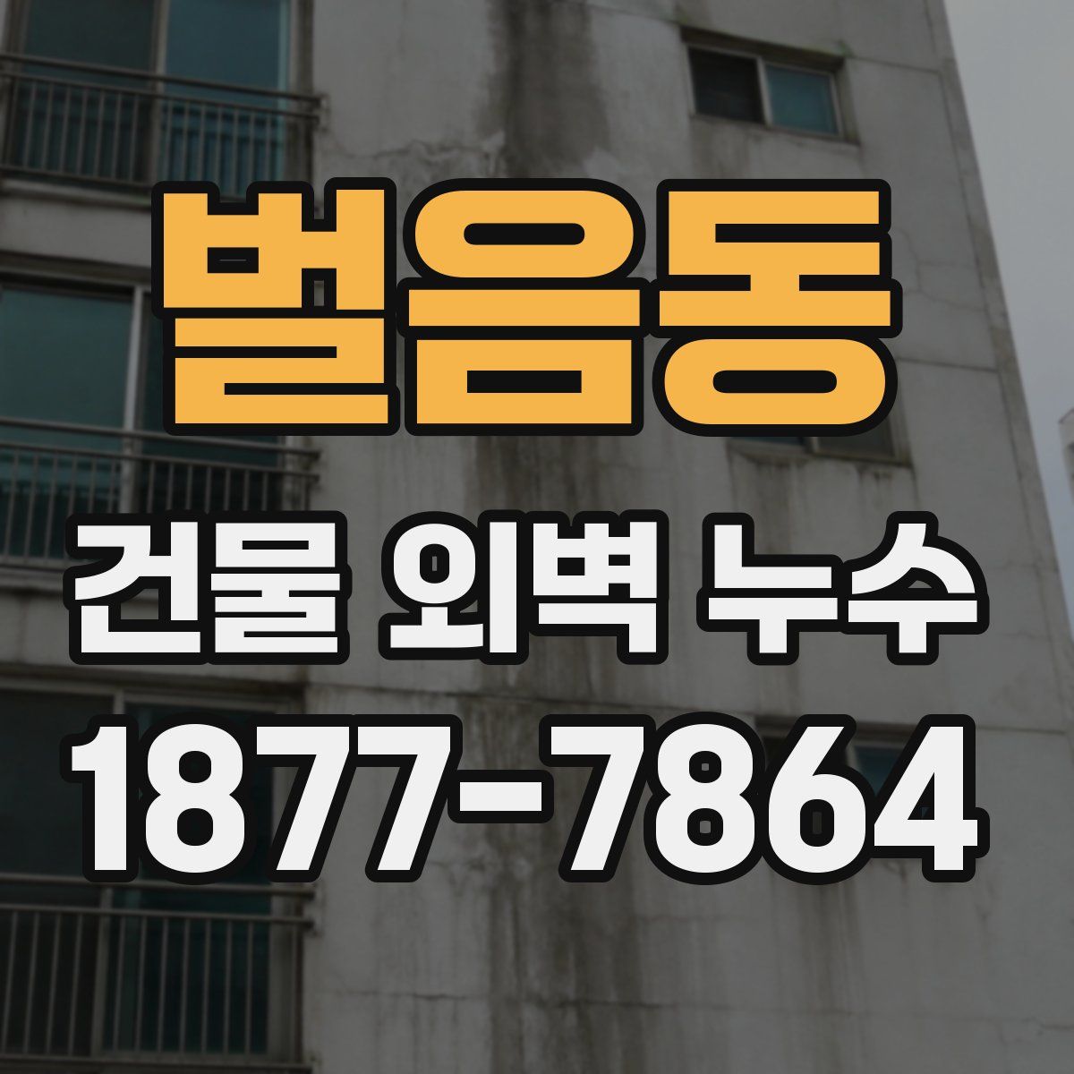 벌음동 건물 외벽 누수