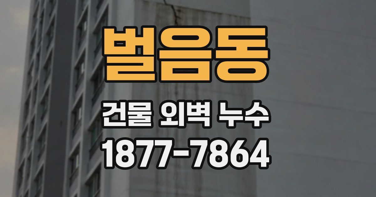 벌음동 건물 외벽 누수