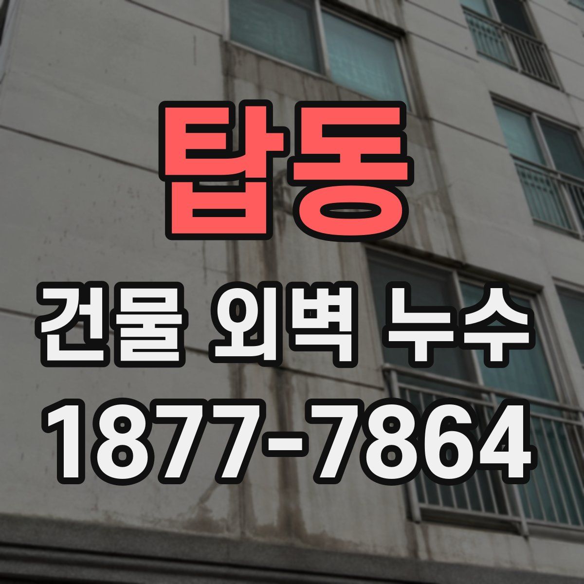 탑동 건물 외벽 누수
