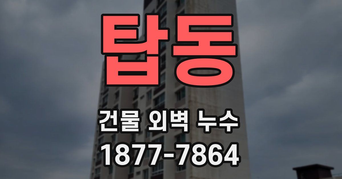 탑동 건물 외벽 누수