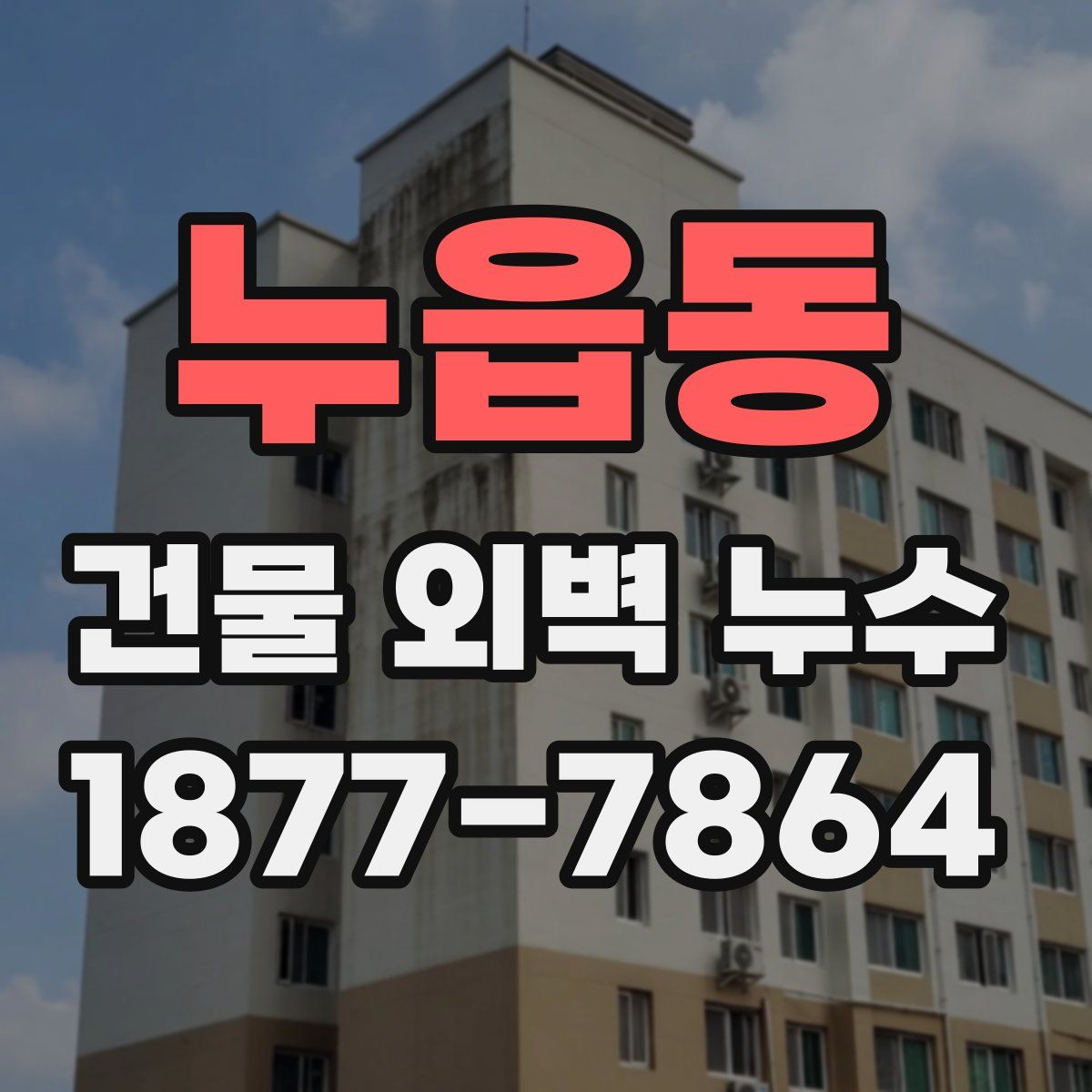 누읍동 건물 외벽 누수