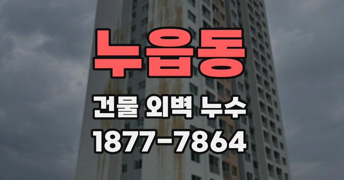 누읍동 건물 외벽 누수