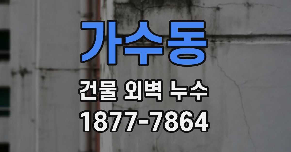 가수동 건물 외벽 누수