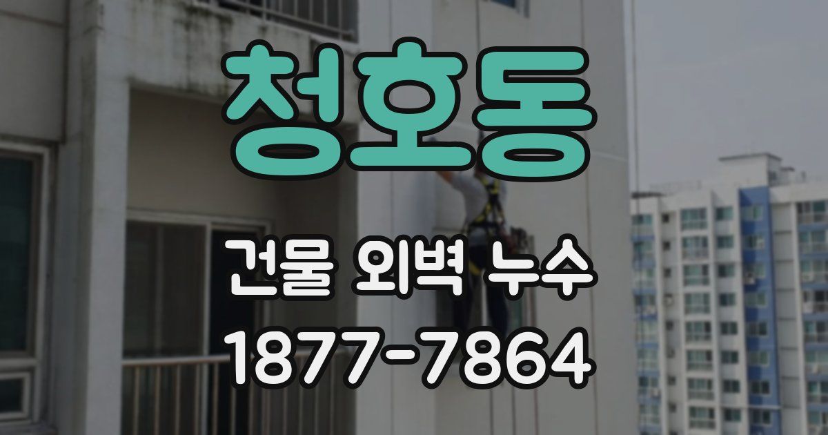 청호동 건물 외벽 누수