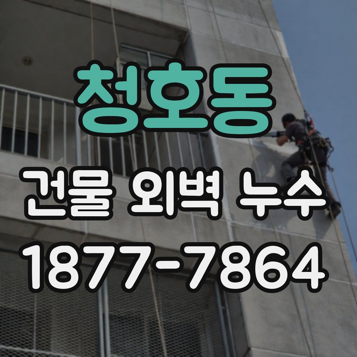 청호동 건물 외벽 누수