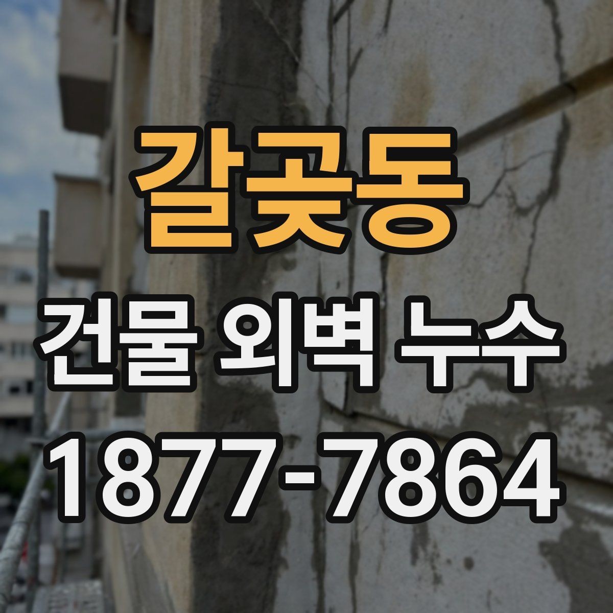 갈곶동 건물 외벽 누수 피해를 키우지 않는 대처법