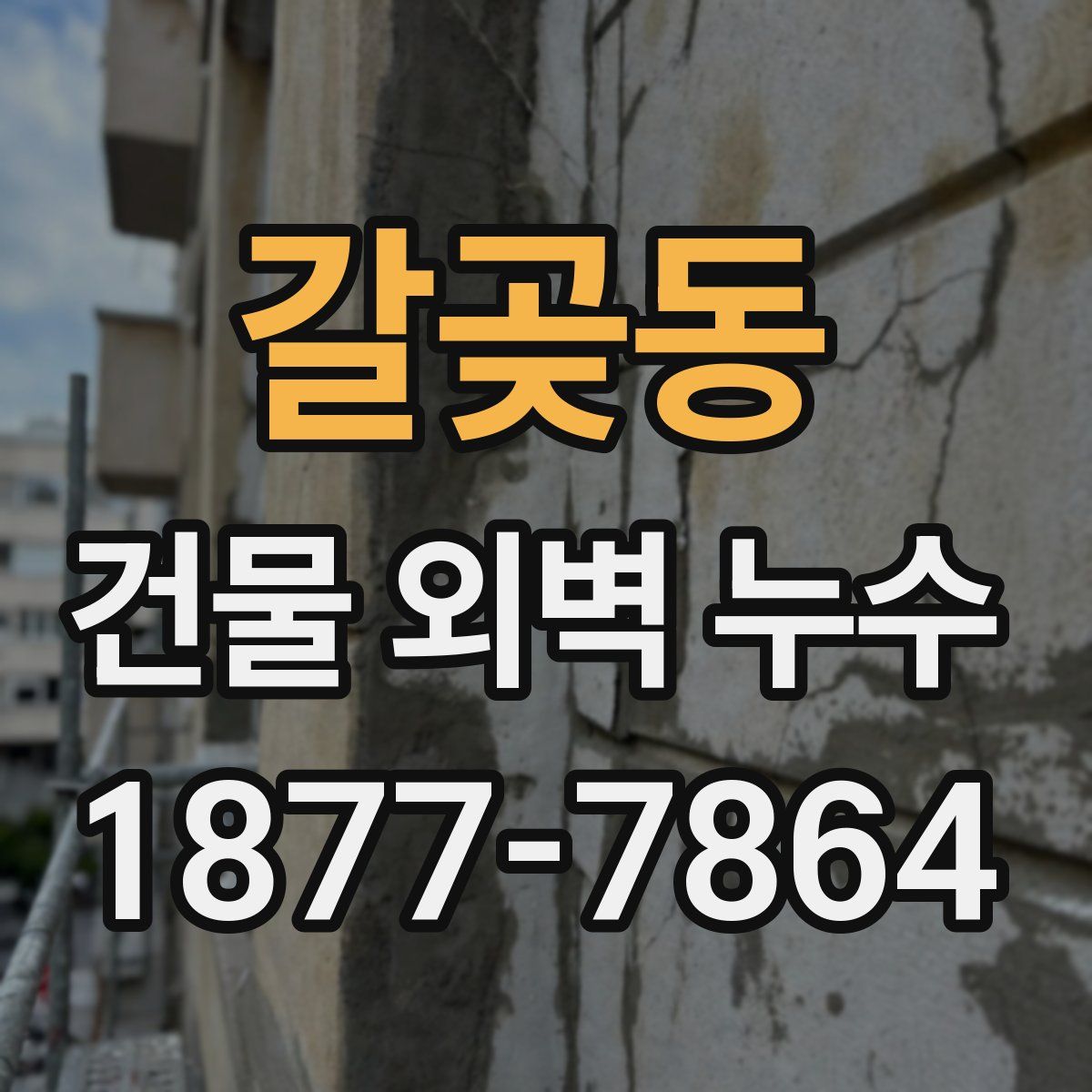 갈곶동 건물 외벽 누수