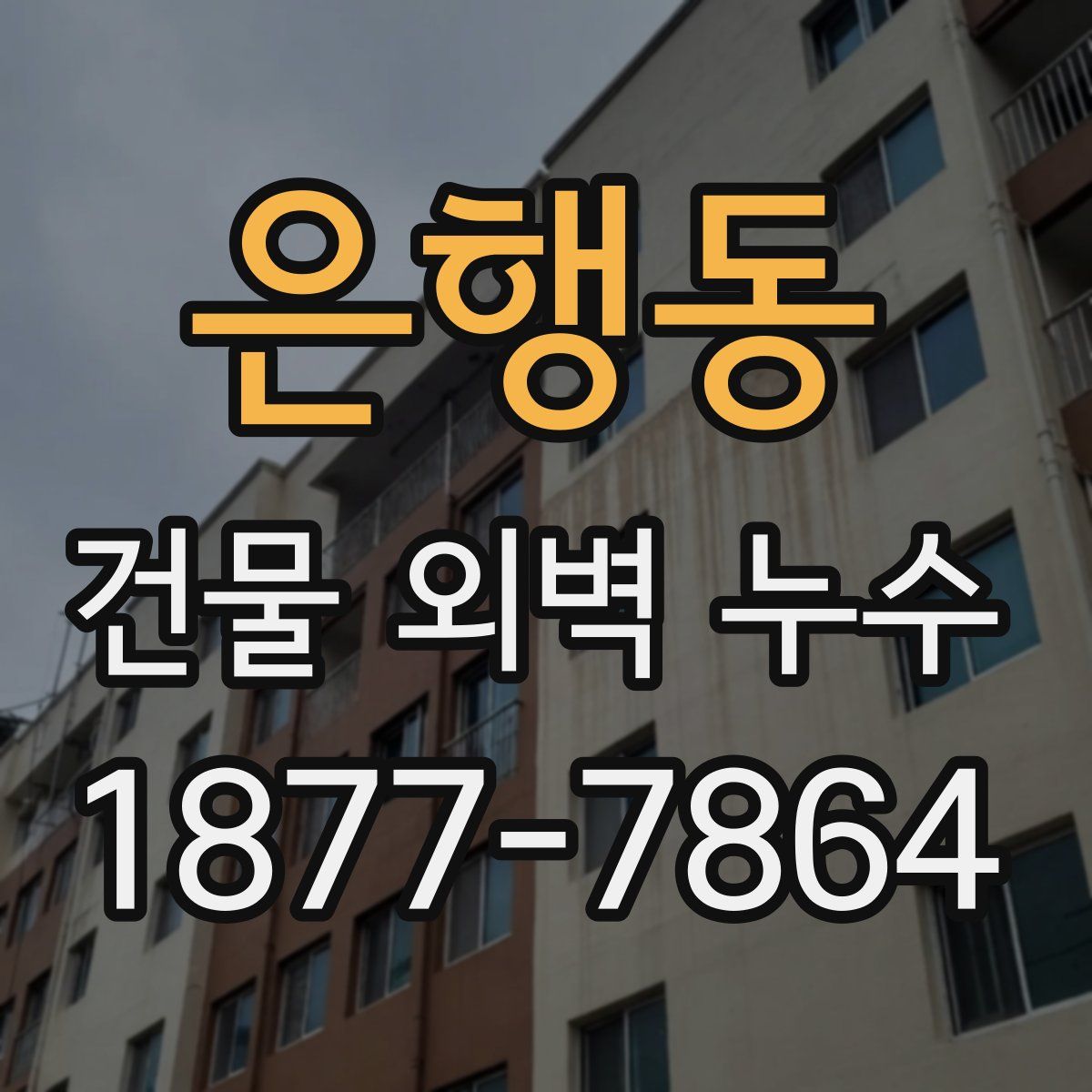 은행동 건물 외벽 누수
