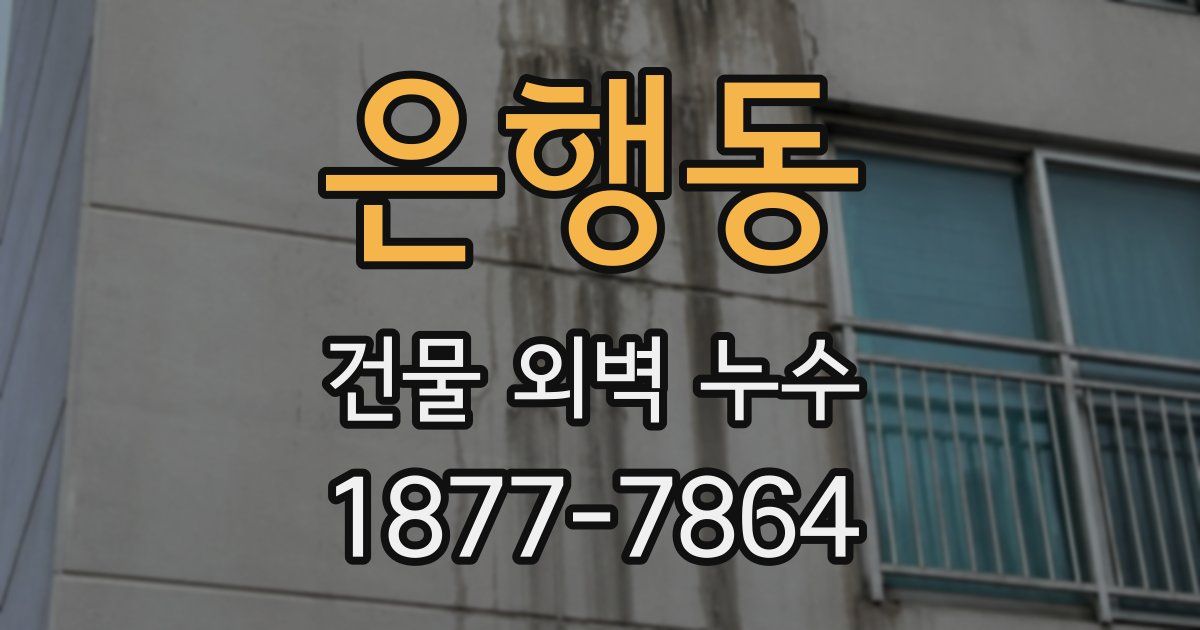 은행동 건물 외벽 누수