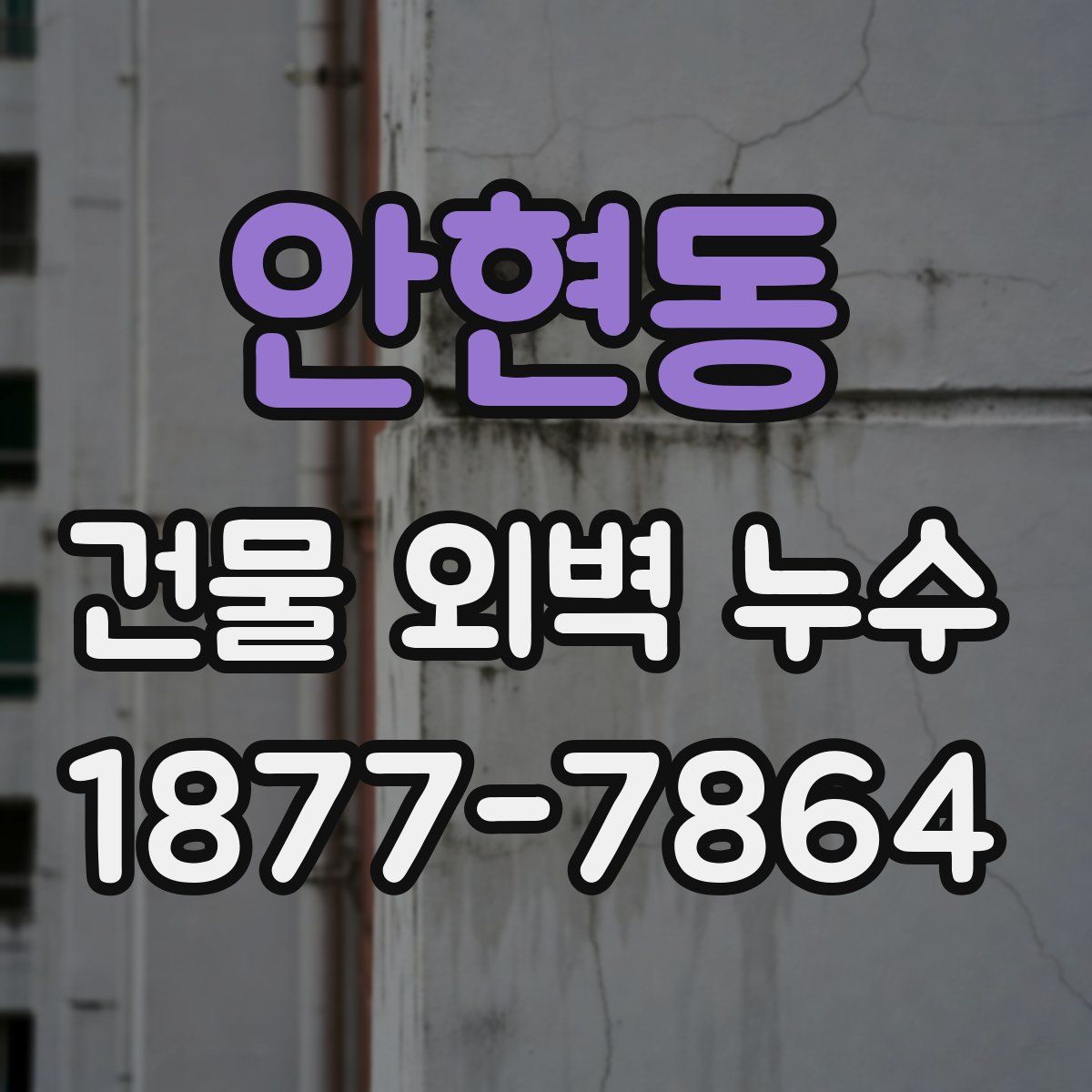 안현동 건물 외벽 누수