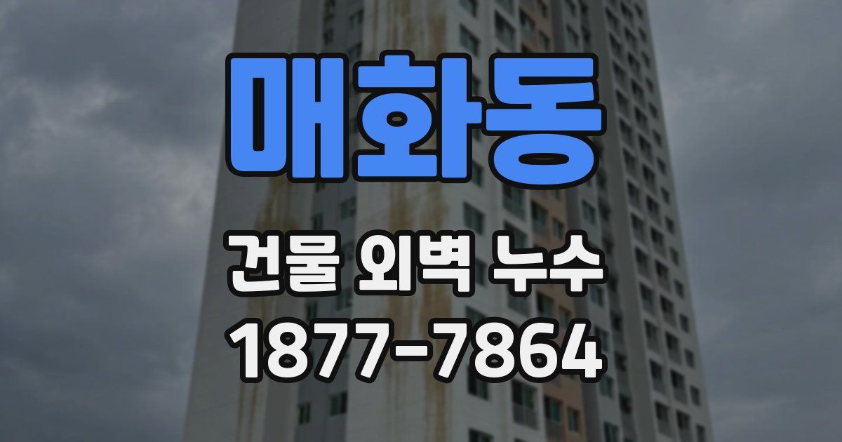 매화동 건물 외벽 누수