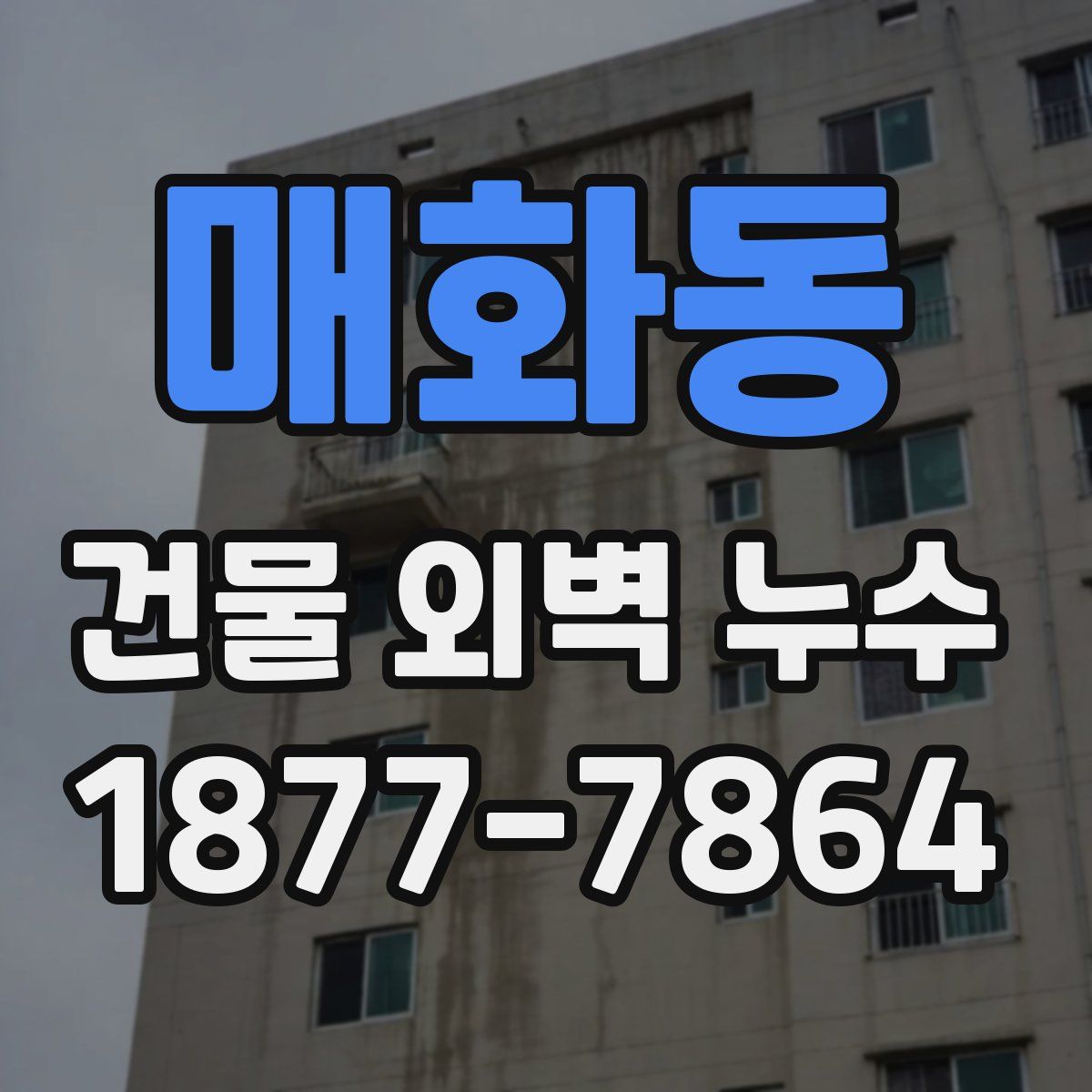 매화동 건물 외벽 누수