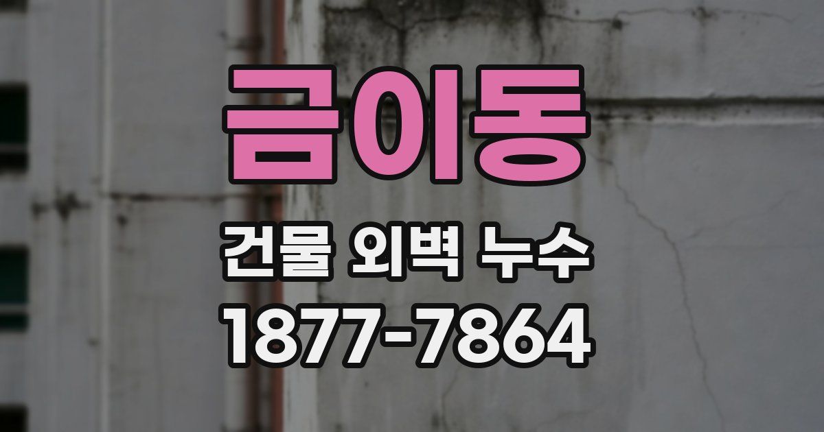 금이동 건물 외벽 누수