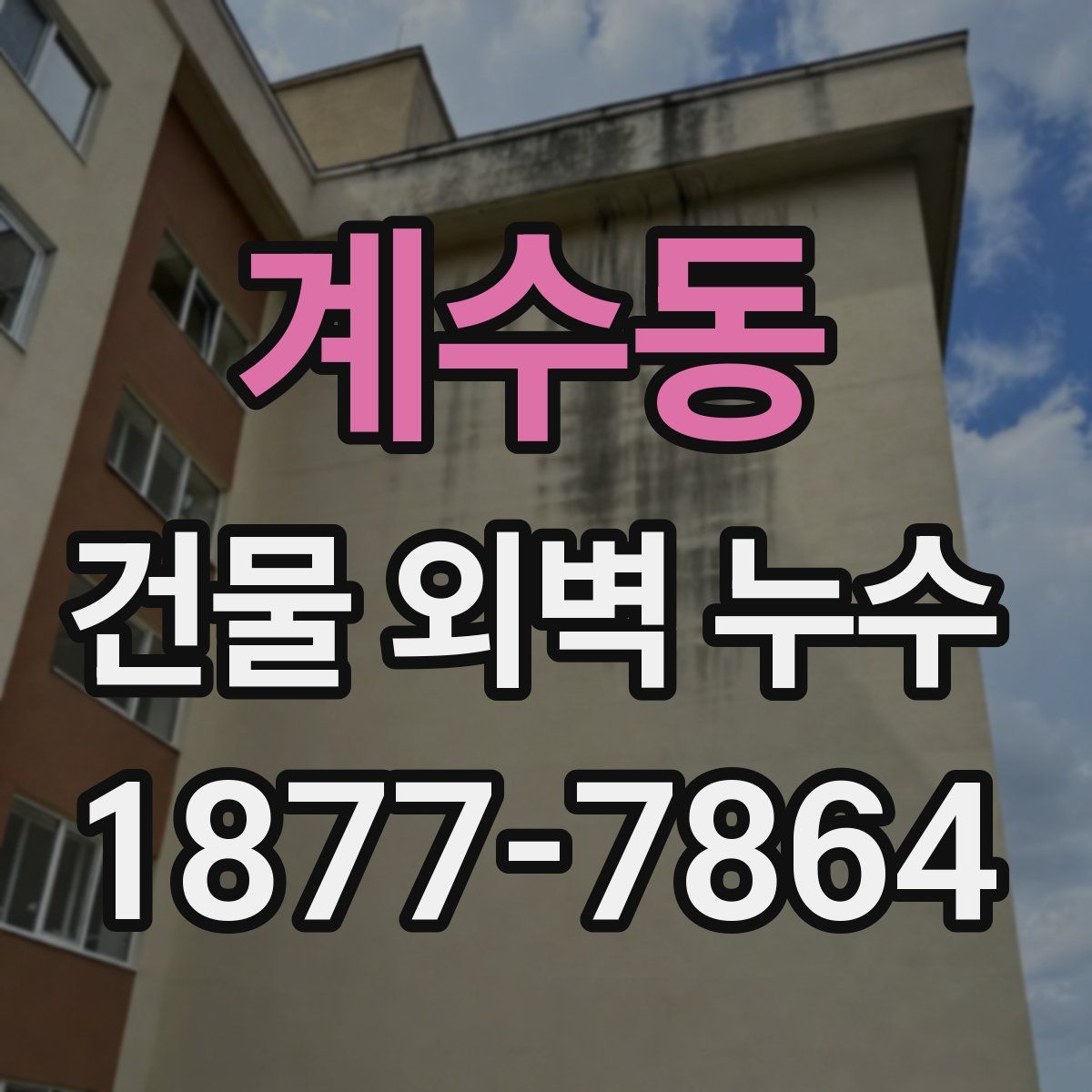 계수동 건물 외벽 누수