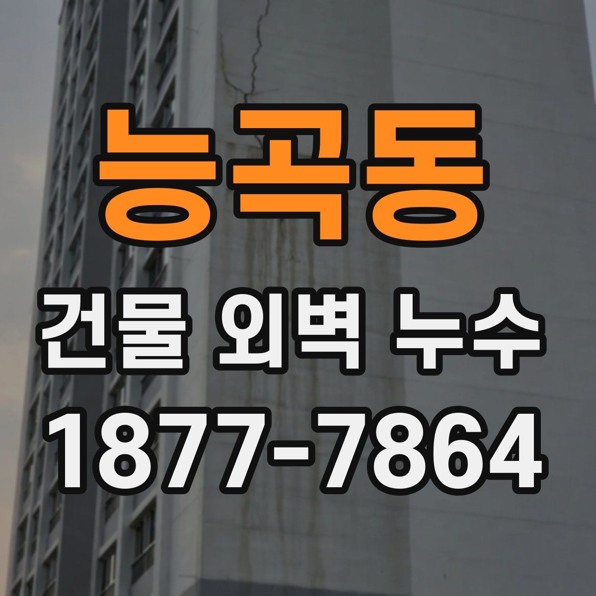 능곡동 건물 외벽 누수