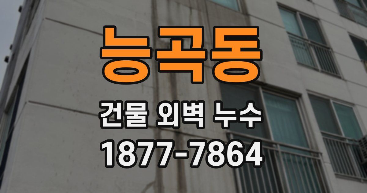능곡동 건물 외벽 누수