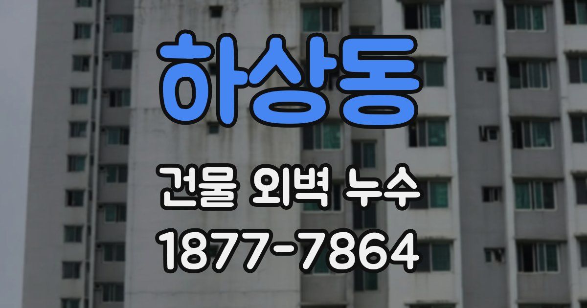 하상동 건물 외벽 누수