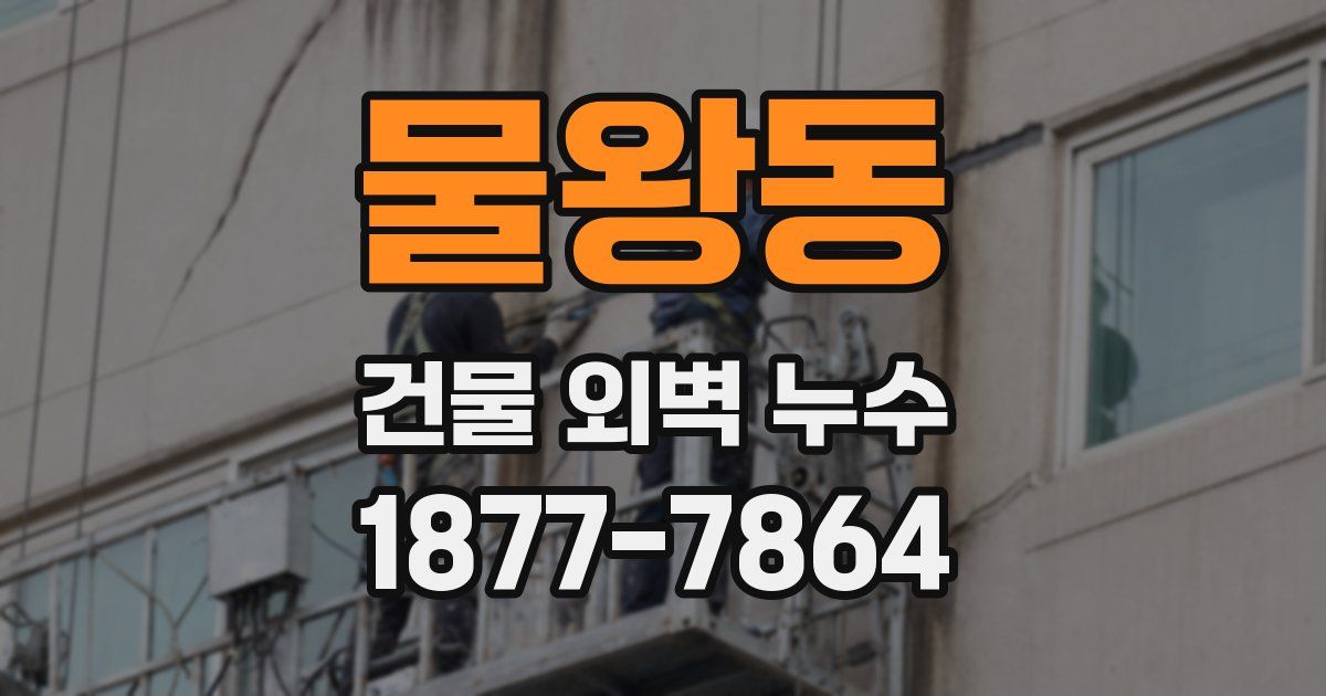 물왕동 건물 외벽 누수