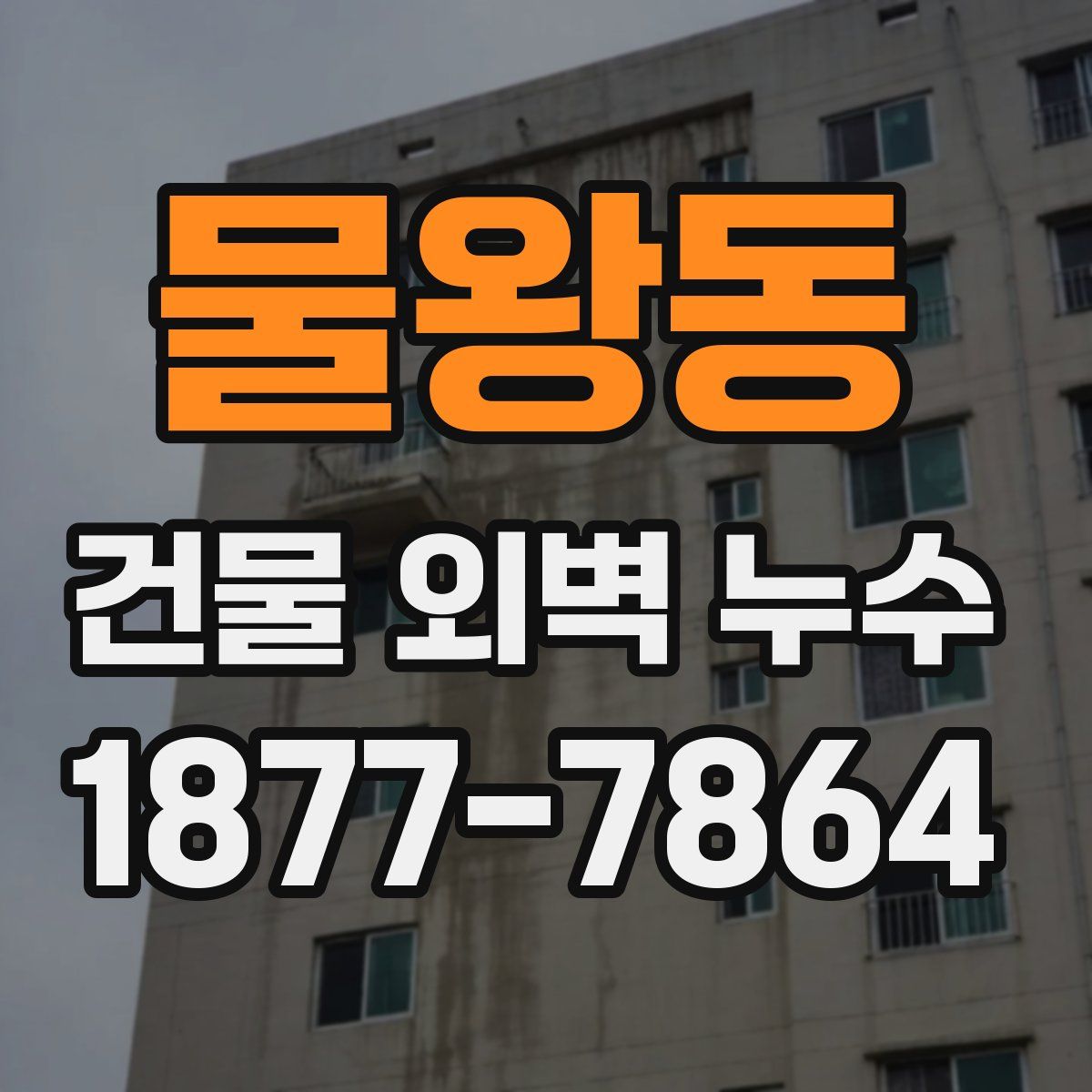 물왕동 건물 외벽 누수