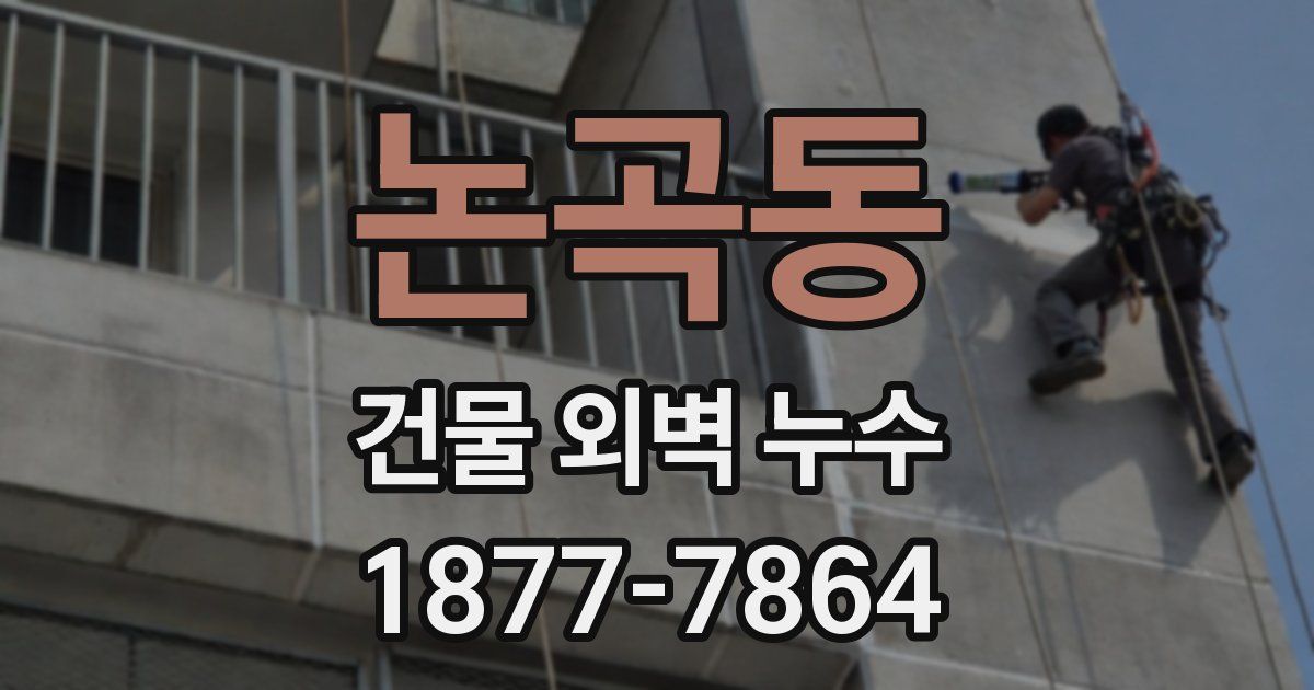논곡동 건물 외벽 누수
