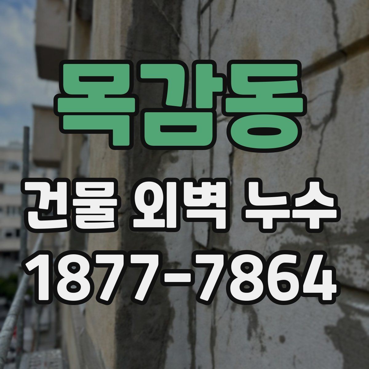 목감동 건물 외벽 누수 문제를 방치하면 생기는 일