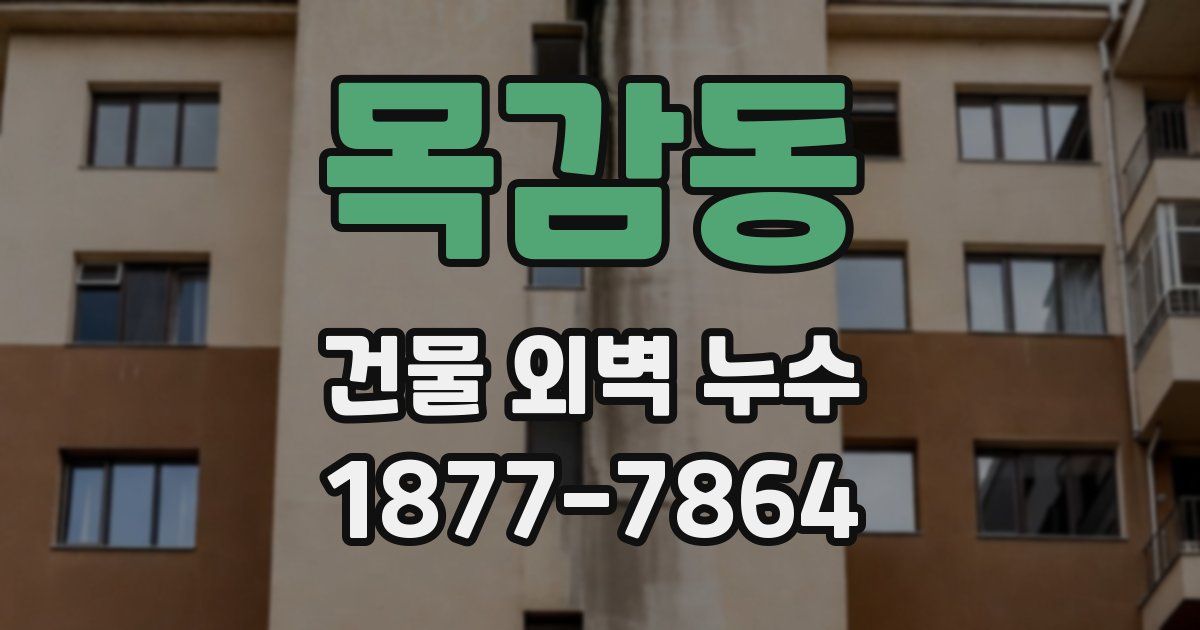 목감동 건물 외벽 누수