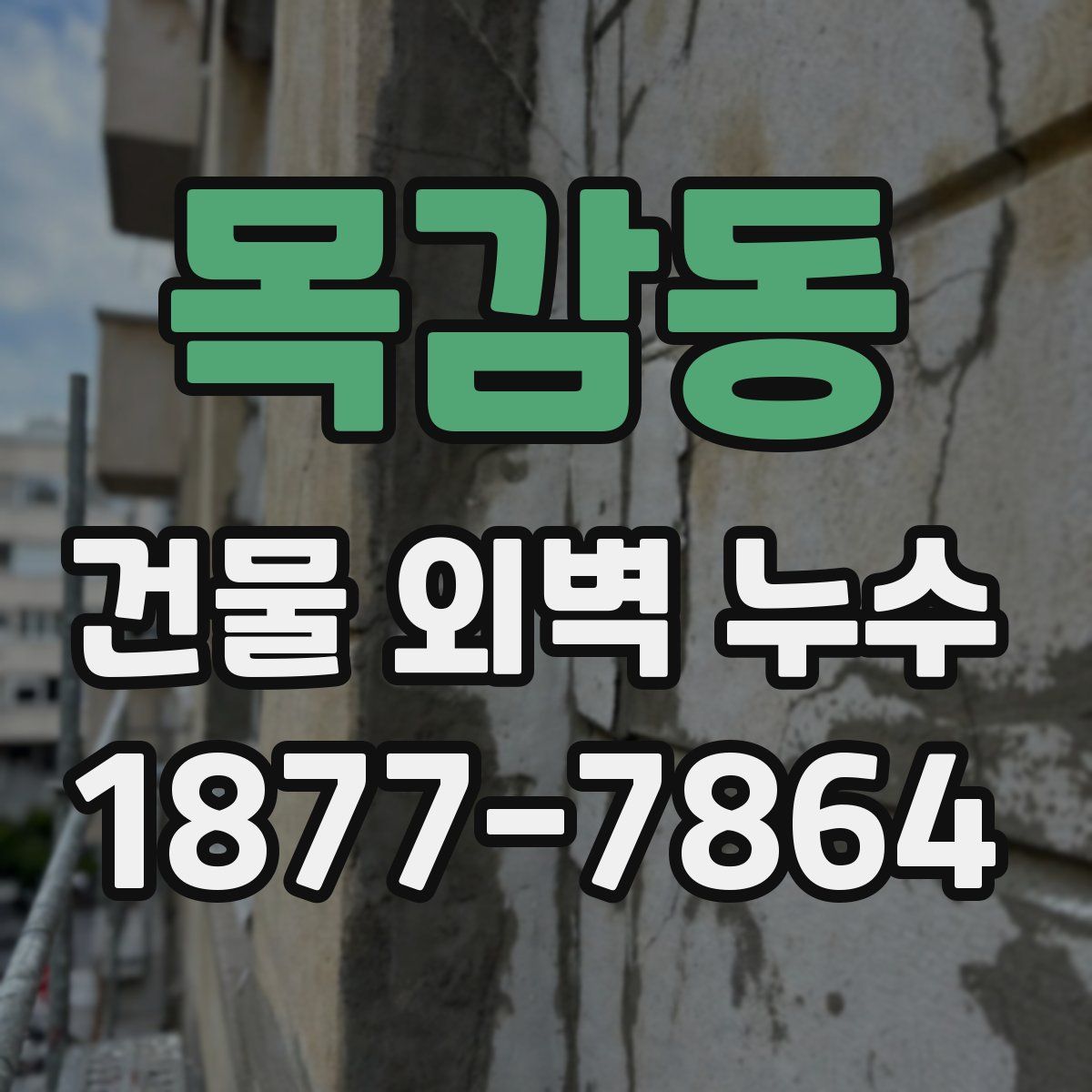 목감동 건물 외벽 누수