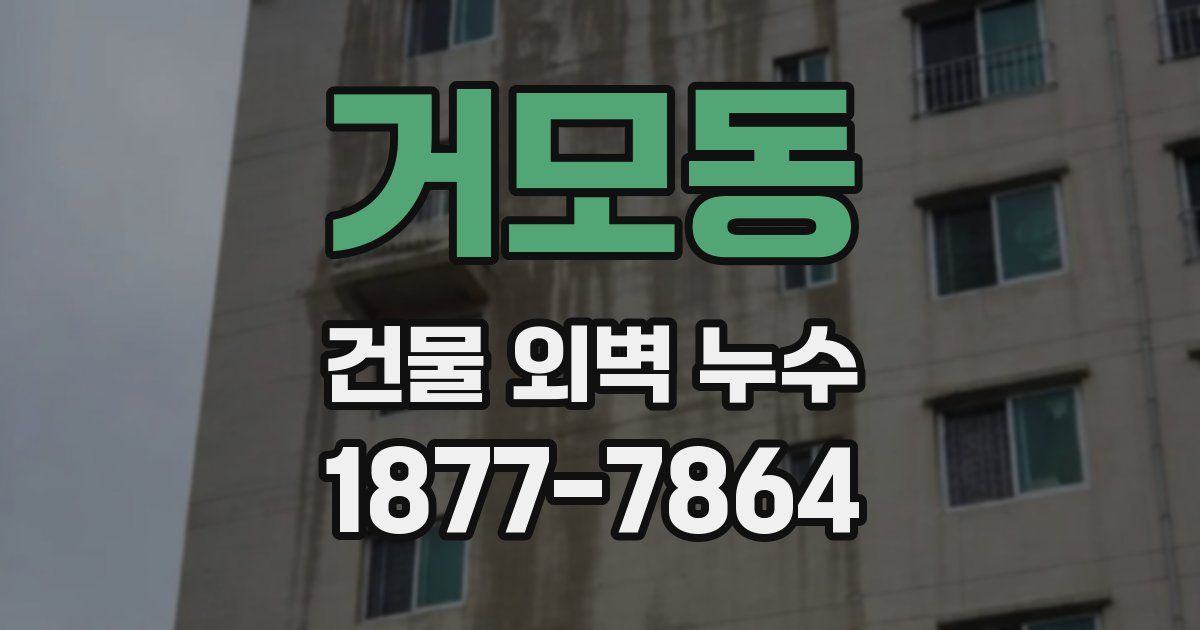 거모동 건물 외벽 누수