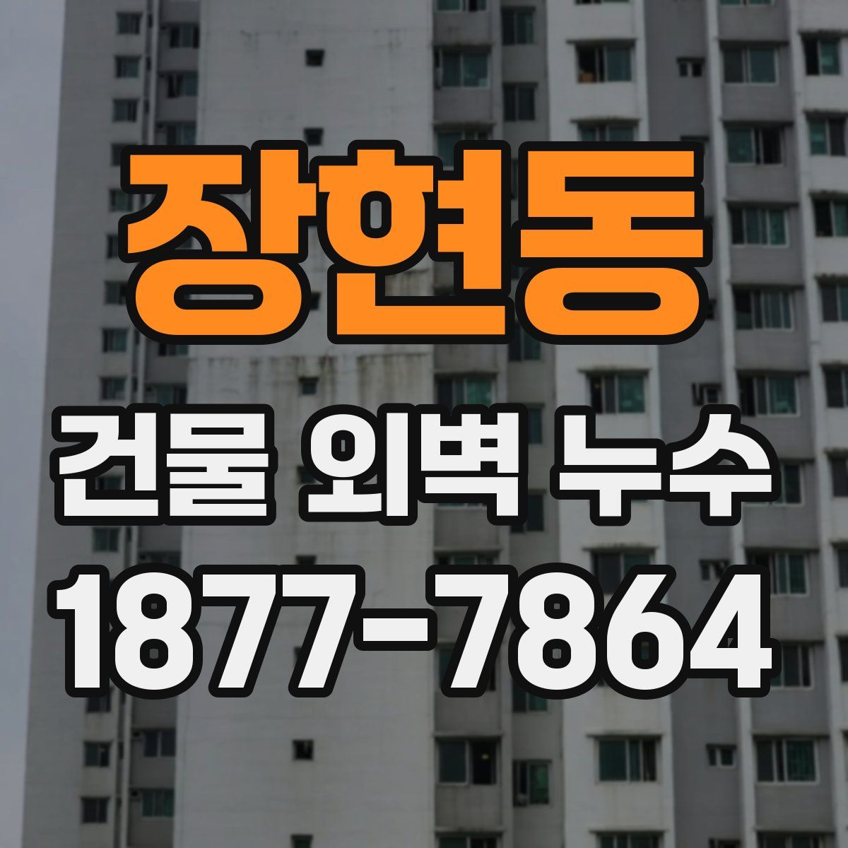 장현동 건물 외벽 누수
