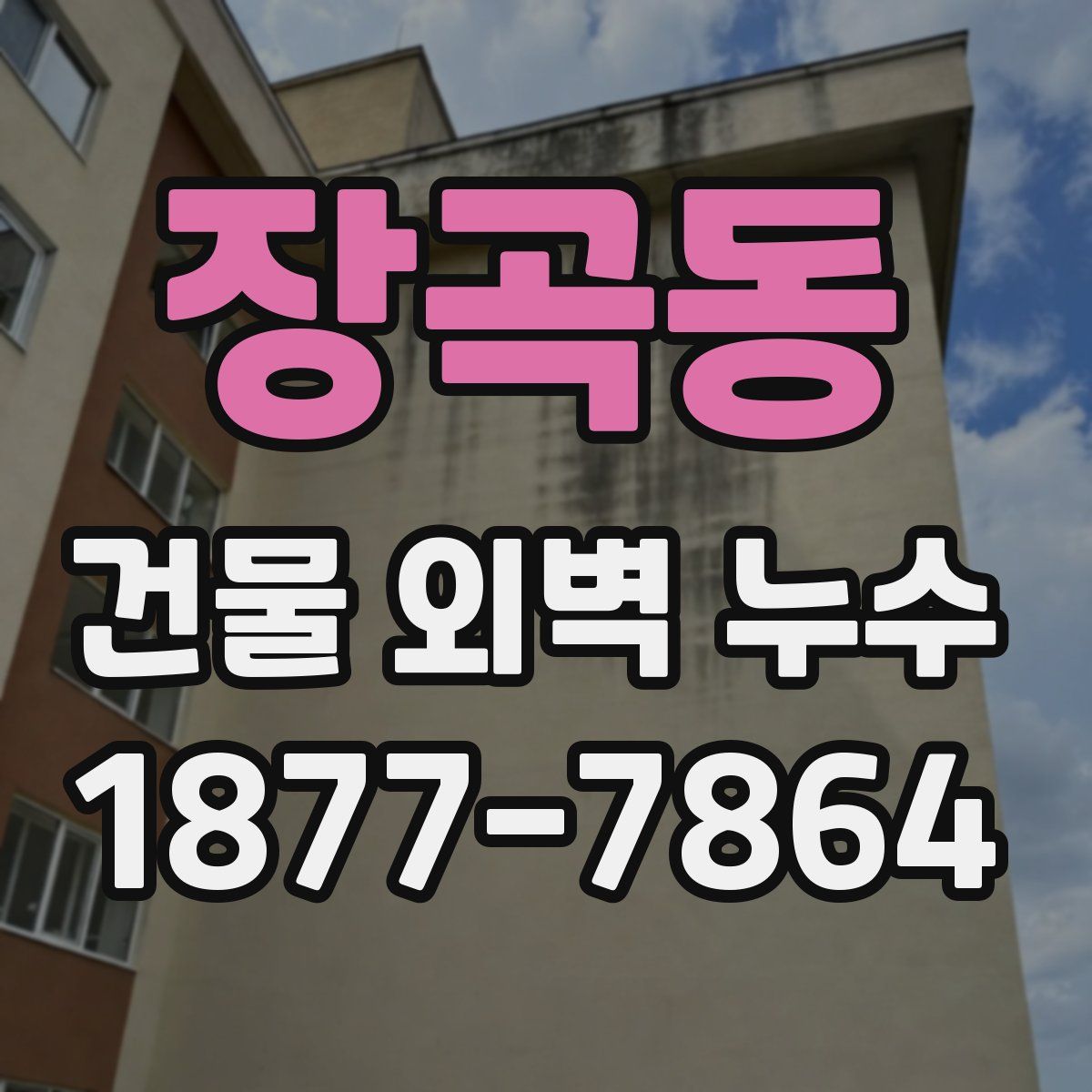 장곡동 건물 외벽 누수