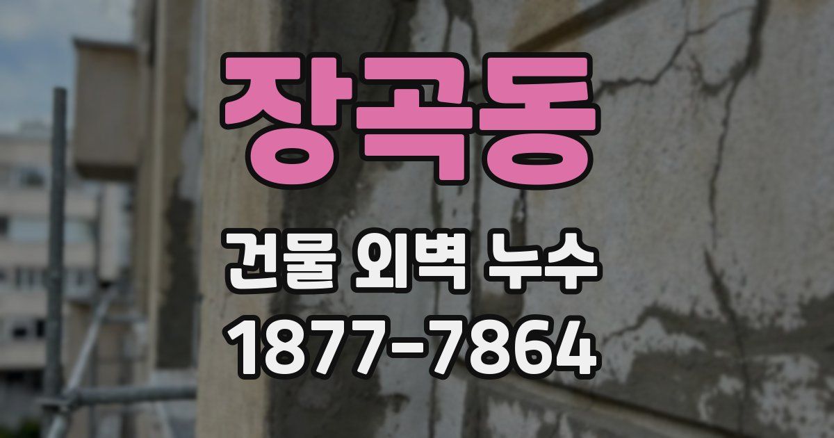 장곡동 건물 외벽 누수