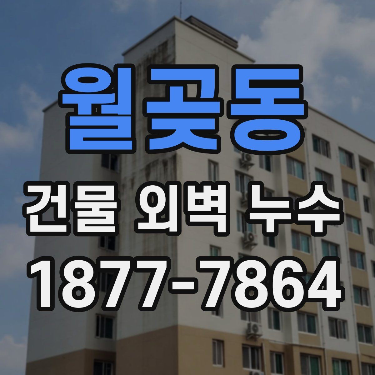 월곶동 건물 외벽 누수 발생 후 응급 대응 방법