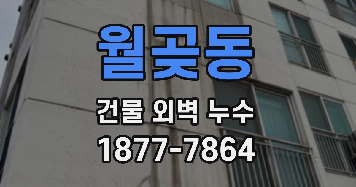 월곶동 건물 외벽 누수