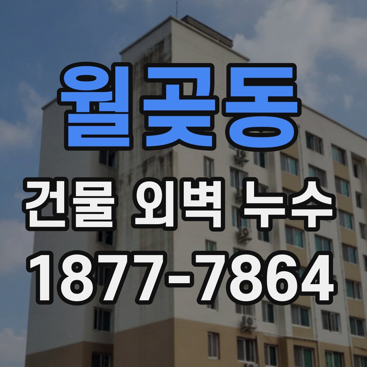 월곶동 건물 외벽 누수